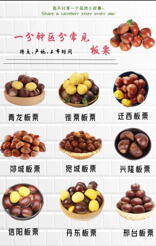 板栗有什么营养