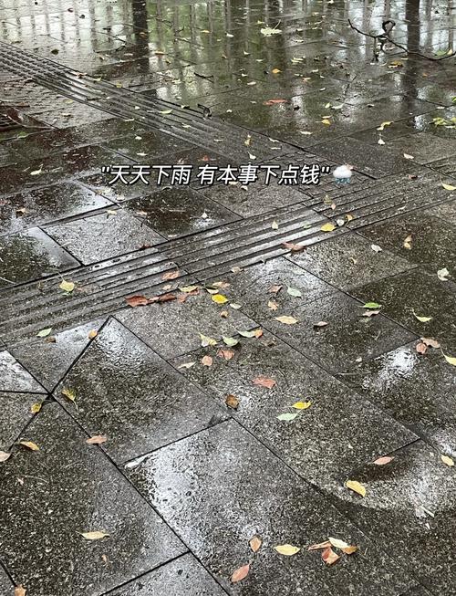 最近为什么老下雨