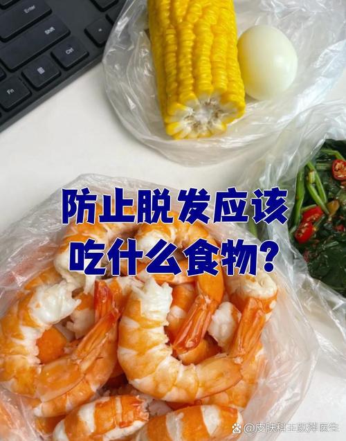 掉头发吃什么食物