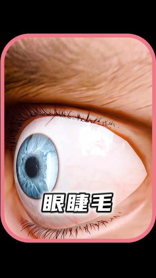 为什么掉眼睫毛