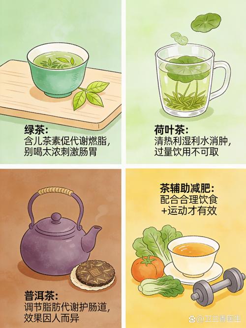 喝什么茶减肥最快