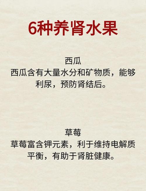 吃什么补肾养肾