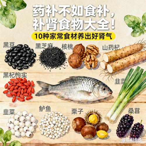 吃什么补肾养肾