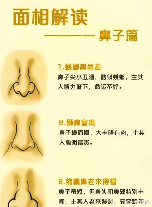 鼻子长代表什么