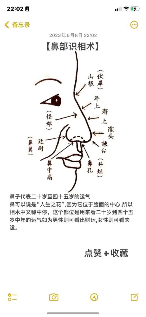 鼻子长代表什么