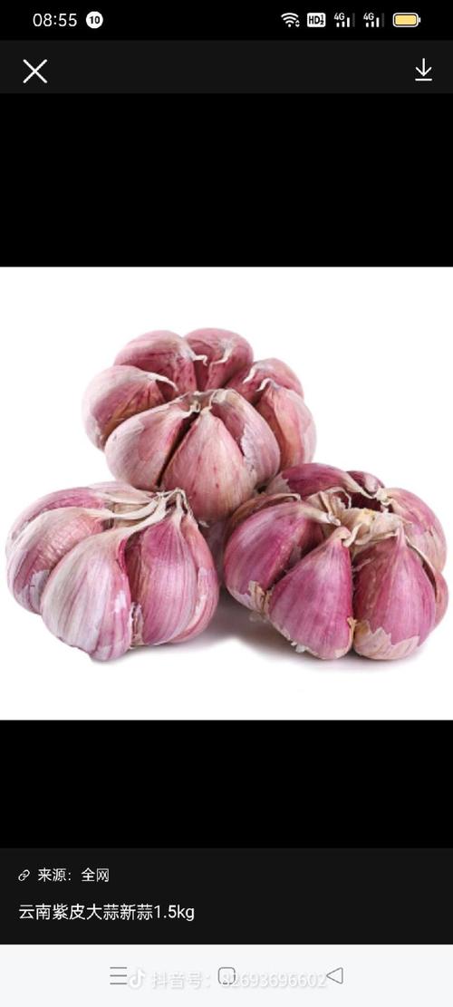 大蒜长什么样子