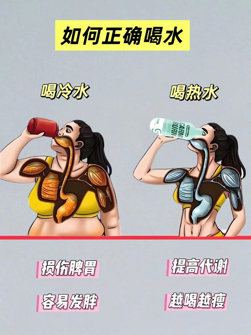 减肥为什么多喝水