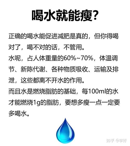 减肥为什么多喝水