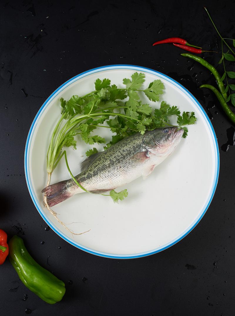 鲈鱼吃什么食物