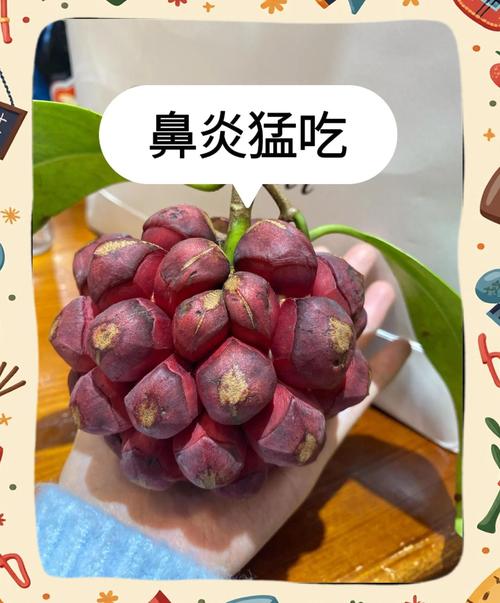 流鼻血吃什么水果