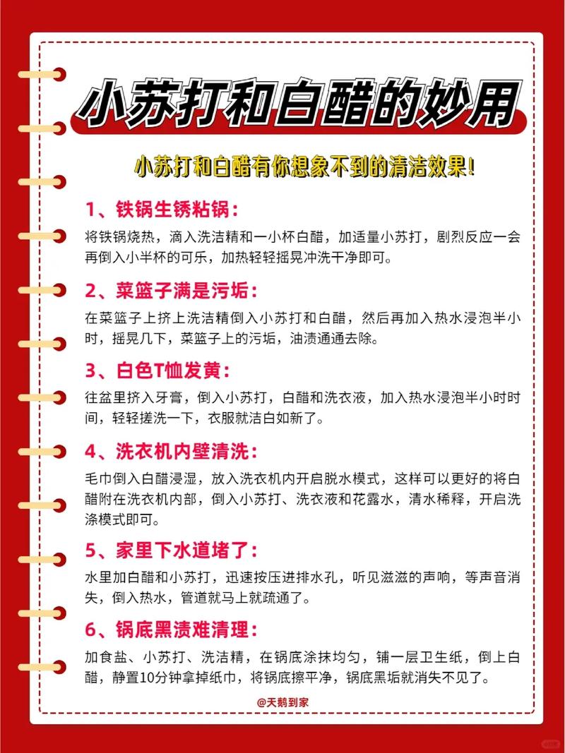 白醋有什么用途