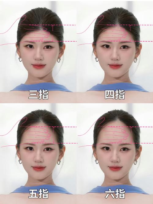 发际线是什么意思