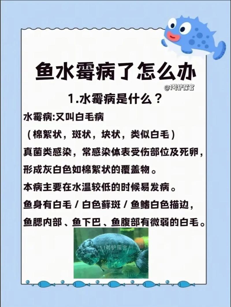 鱼容易得什么病