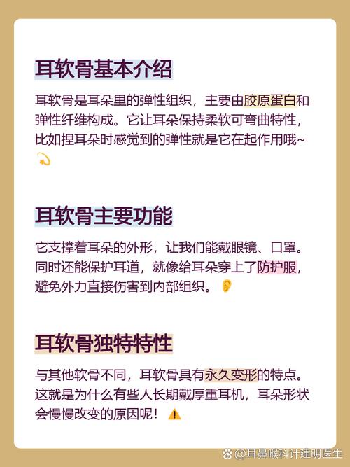 耳软骨是什么