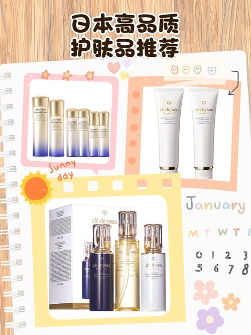 日本护肤品 混合肌肤