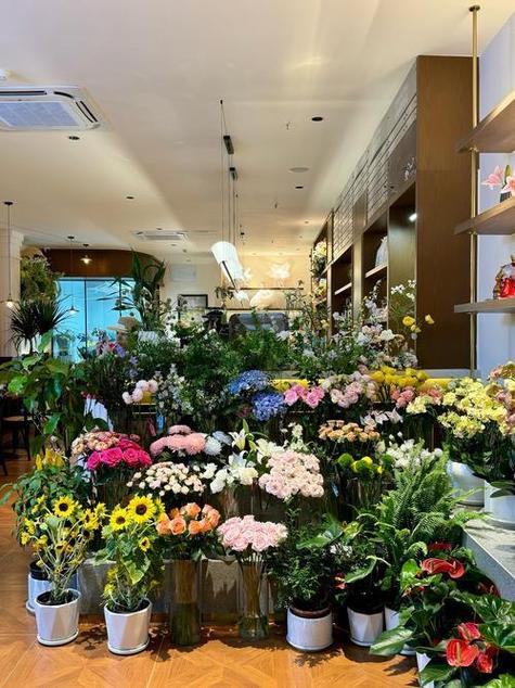 孕妇适合什么花