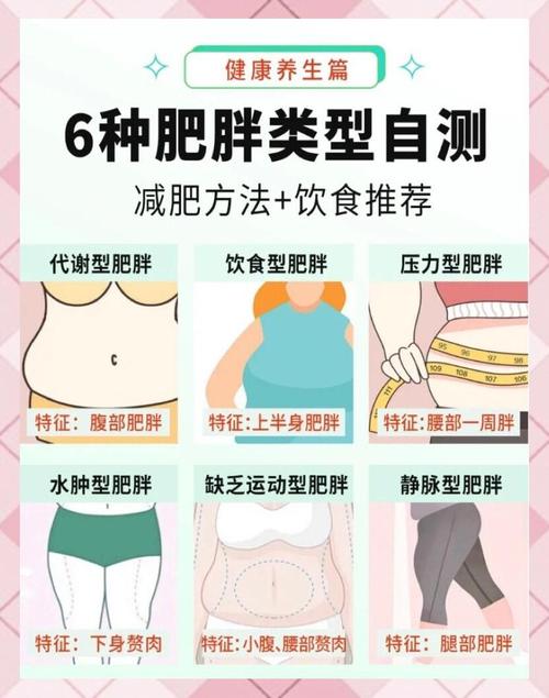 为什么上半身胖