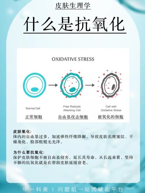 护肤品抗氧化什么意思