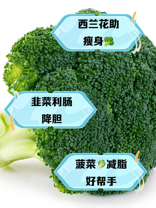 什么蔬菜能减肥