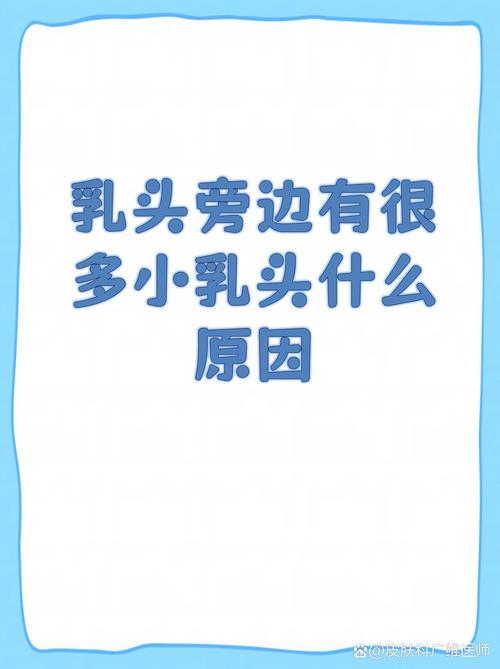乳头是什么样子的