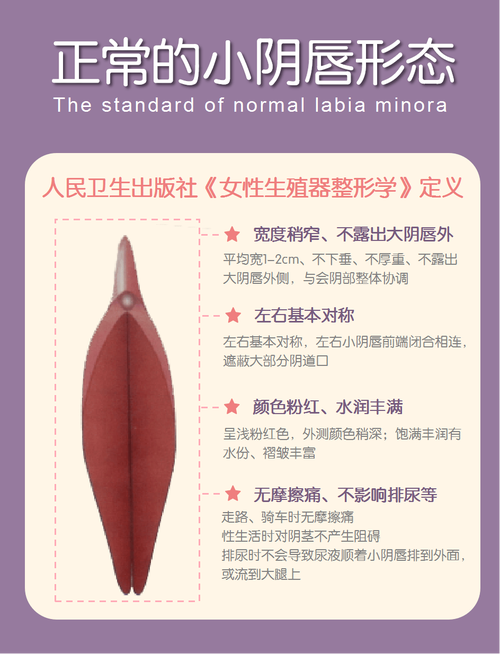 阴唇什么样子