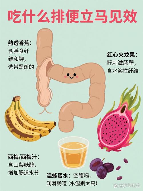 女人便秘吃什么