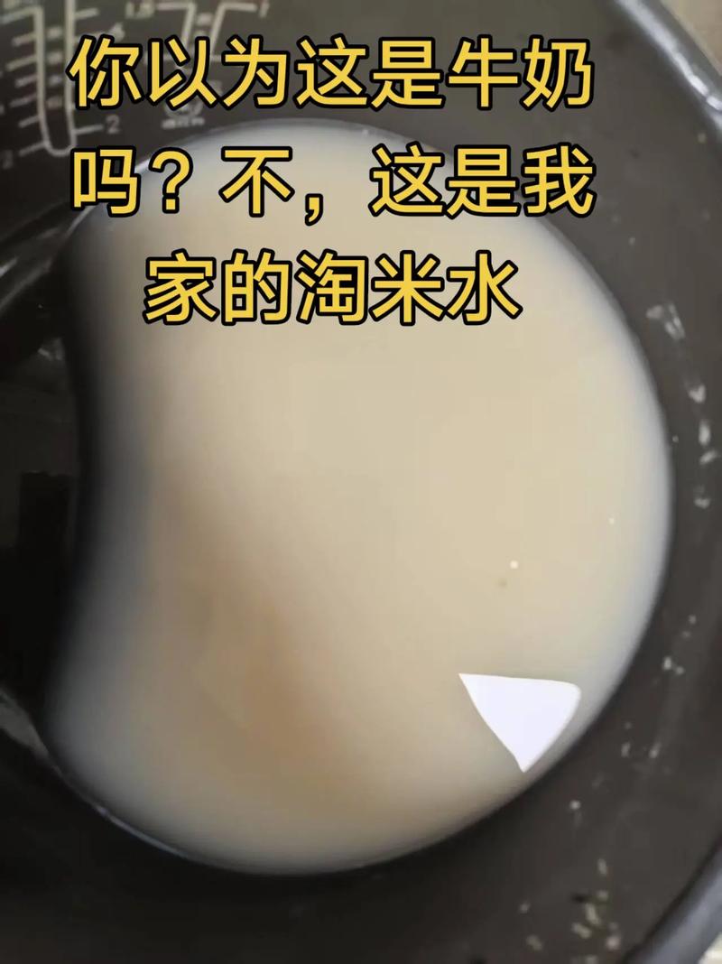 淘米水洗面奶好用不