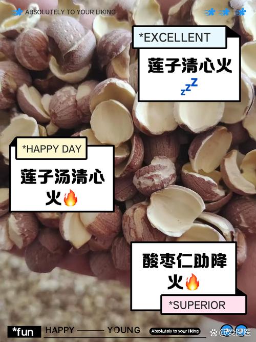 火气大吃什么好