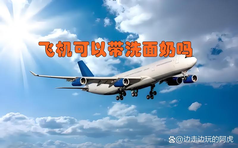 登机能携带洗面奶吗