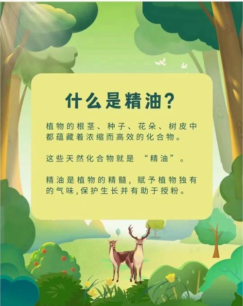 精油是干什么的