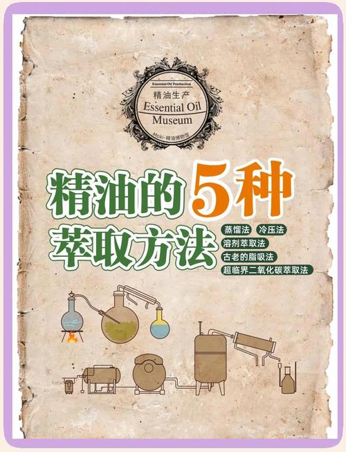 精油是干什么的