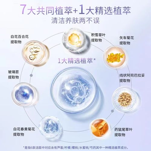 菲诗小铺洗面奶推荐