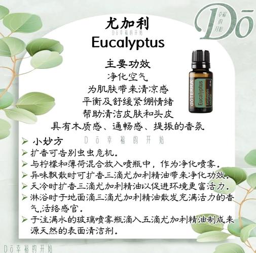 精油起什么作用