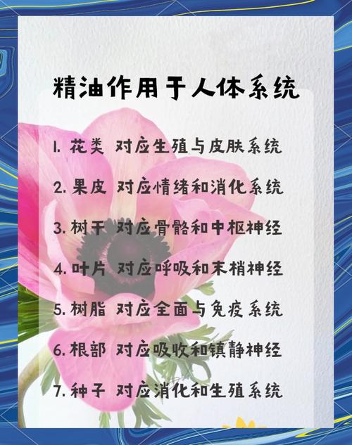 精油起什么作用