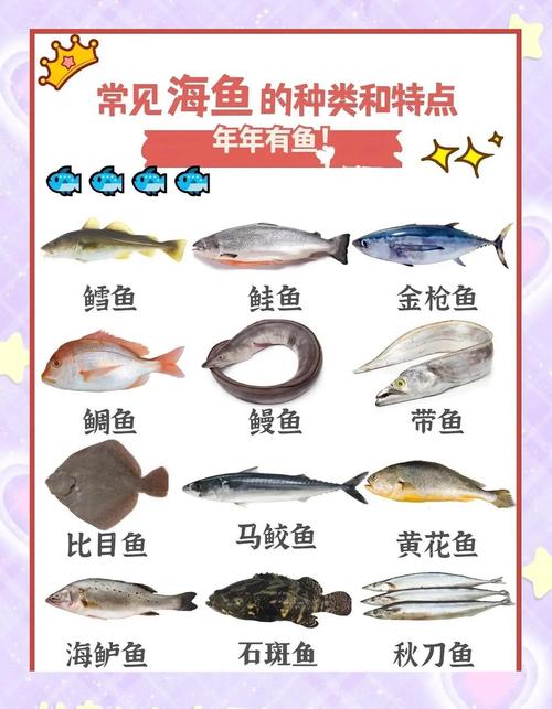 怀孕吃什么鱼好