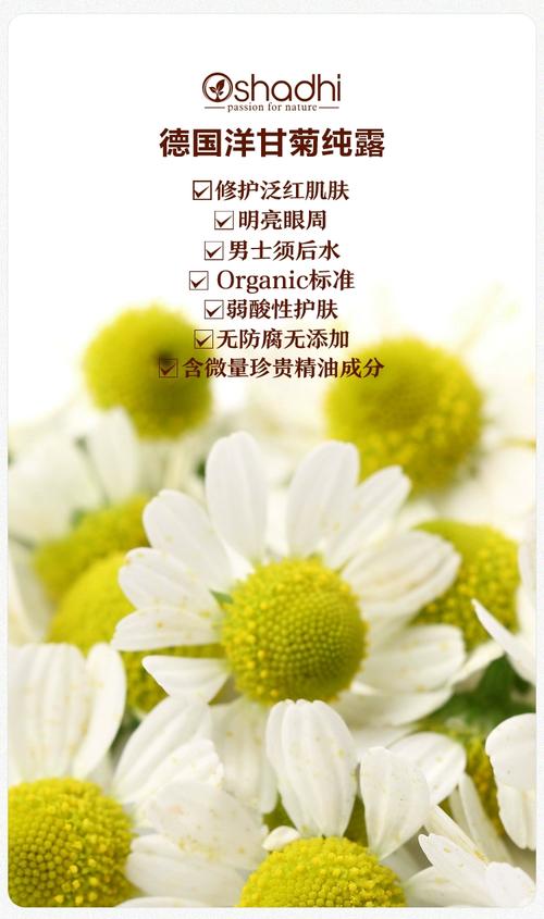 洋甘菊的护肤品有哪些